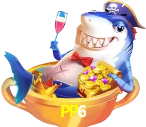 PP6